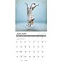 2026 Willow Creek Unicorn Yoga 12" x 12" Monthly Wall Calendar (53058)~#|#~20F17D54-D44F-4B29-9552EFF0355BEAE9_sc7
