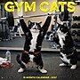 2027 Willow Creek Gym Cats  12" x 12" Monthly Wall Calendar (65280)~#|#~21009D60-24E5-4F17-B93ABDF5D34E0D1A_sc7