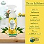 Absolute Green Eco-Friendly All-Purpose Cleaner, Fresh Lemon Scent, 25 Fl Oz., 6/Carton (AG2-ST-6)~#|#~2114FFE0-E859-4CFA-9944C0A6C0B4CD94_sc7
