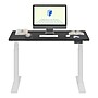 FlexiSpot E7COMMERCIAL 48''W Electric Adjustable Particle Board Standing Desk, Black/White (E7WCOM4824-B)~#|#~211EF4A5-E011-4EB2-818CC91E8A92E8BB_sc7