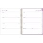 2025 Blue Sky Britt Mills Citrus Sunrise 8.5" x 11" Weekly & Monthly Planner, Plastic Cover, Multicolor (148026)~#|#~2127CA2E-8746-47DC-A5EB12122AAA10C5_sc7