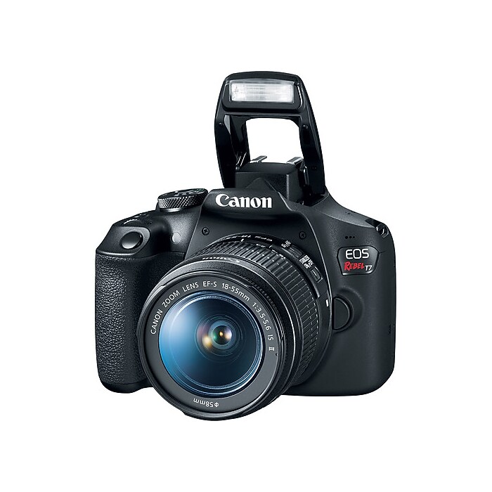 Canon EOS Rebel T7 24.1 Megapixel Camera with 18-55mm and 75-300mm