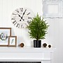 Nearly Natural Norfolk Island Pine Natural Look Artificial Tree in Decorative Planter, 2' (T1502)~#|#~219AD55E-FD5C-4DAC-9379C2F8D00D6CFF_sc7