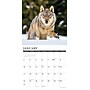 2027 Willow Creek Spirit of the Wolf 12" x 12" Monthly Wall Calendar, Assorted Colors (62456)~#|#~219F341E-F823-4830-B3F2D579651177B4_sc7