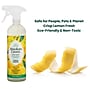 Absolute Green Eco-Friendly All-Purpose Cleaner, Fresh Lemon Scent, 25 Fl Oz., 6/Carton (AG2-ST-6)~#|#~21B5680D-5EC3-4F10-B9FDDFBEB5D029FF_sc7