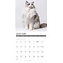 2027 Willow Creek Multi 12" x 12" Monthly Wall Calendar, Assorted Colors (61985)~#|#~21D4D945-6C2B-495F-B9C36B34F6A7F855_sc7