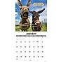 2027 Willow Creek Multi 12" x 12" Monthly Wall Calendar, Assorted Colors (62142)~#|#~21D88D50-152B-4B91-967D494F38433E45_sc7