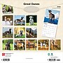 2026 BrownTrout Great Danes 12" x 12" Monthly Wall Calendar (9798330703524)~#|#~21F52C1C-CB53-46F0-BA35CCBD693E34CF_sc7