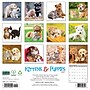 2027 Willow Creek Kittens & Puppies 12" x 12" Monthly Wall Calendar, Assorted Colors (60940)~#|#~21FA9656-4D13-47E3-80A9E3B173A42D07_sc7