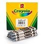 Crayola Bulk Crayons, Silver, 12/Pack, 6 Packs/Bundle (BIN520836084-6)~#|#~2202B76B-DBC3-43E0-B32978CC64580017_sc7