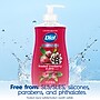 Dial Antibacterial Limited Edition Liquid Hand Soap, Frosted Cranberry & Pine Scent,  11 oz. (1700035953)~#|#~2205D01A-6DF5-458C-AD536CC608BE1F03_sc7