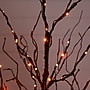 Nearly Natural Pre-Lit Halloween Black Twig Artificial Tree, 4' (T5166)~#|#~2206FAB4-462D-4863-8AF7B5FF1D40DB5F_sc7