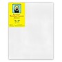 Strathmore 300 Series Primed Gallery Stretched Canvas, 11x14 inch (STT31411)~#|#~22243B25-7157-4B06-9A22589695946836_sc7