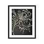 Amanti Art Flower Folklore I, Paper, 21" x  25" (A42675519534)~#|#~222B8934-E740-4CFF-8BB5E166A389909A_sc7