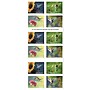 USPS Garden Delights Forever 20 Postage Stamps (FOR-GARDENDE-20)~#|#~222D3CF5-4F02-4D96-A688DFC478DD2A65_sc7