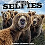2026 Willow Creek Animal Selfies 12" x 12" Monthly Wall Calendar (49884)~#|#~223D1AF4-9115-4CE1-8E7C398170691822_sc7