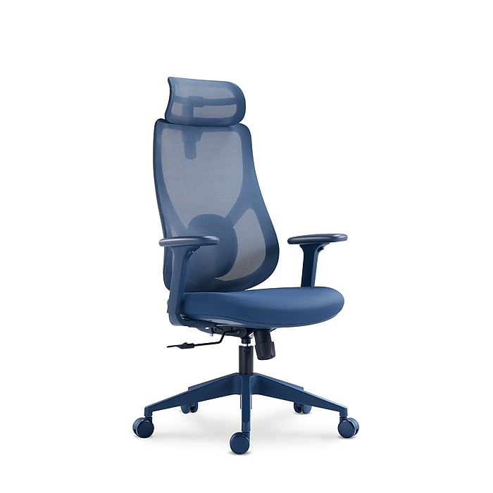 Raynor Group Torque Ergonomic Fabric/Mesh Swivel Manager Chair