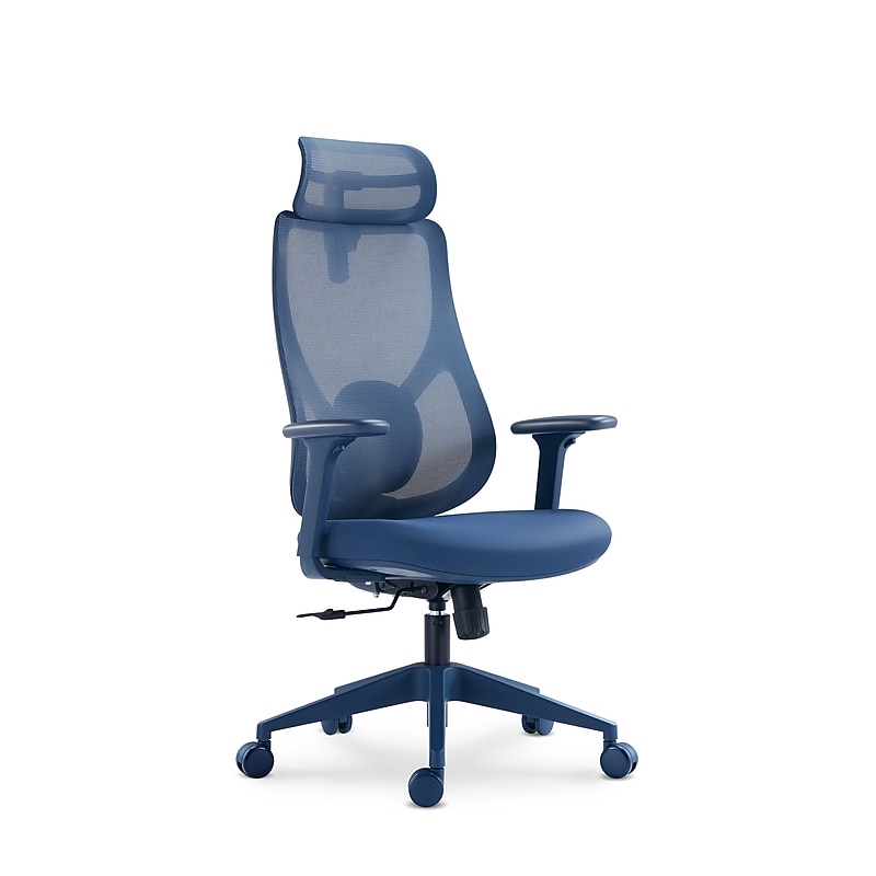 Raynor Group Torque Ergonomic Fabric/Mesh Swivel Manager Chair, Blue (TORQUE-BLU) image 1