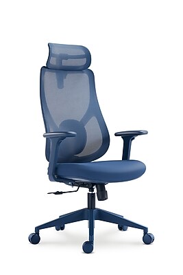 Raynor Group Torque Ergonomic Fabric/Mesh Swivel Manager Chair, Blue (TORQUE-BLU) Simolary simolary.com