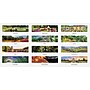 2026 House of Doolittle Garden 12" x 12" Monthly Wall Calendar (301-26)~#|#~227CF17D-ED6F-4177-A83447A41F3646AE_sc7