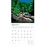 2026 BrownTrout South Carolina Wild & Scenic 12" x 12" Monthly Wall Calendar (9798330705658)~#|#~22A9C377-3794-43E6-A83D8B026E9CBD79_sc7