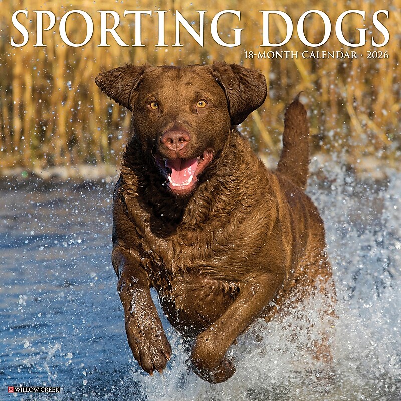 2026 Willow Creek Sporting Dogs 12" x 12" Monthly Wall Calendar (55557) image 1