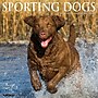 2026 Willow Creek Sporting Dogs 12" x 12" Monthly Wall Calendar (55557)~#|#~22B811C9-9F39-45C9-ADB70B20C78B42C9_sc7
