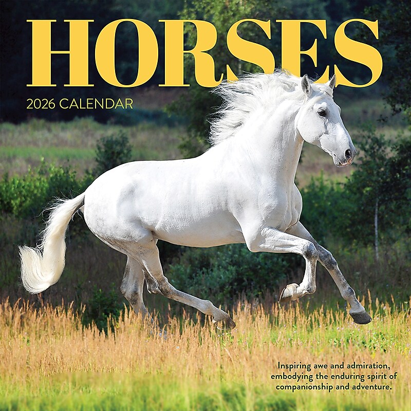 2026 TF Publishing Horses 12" x 12" Monthly Wall Calendar (26-1012) image 1