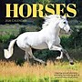 2026 TF Publishing Horses 12" x 12" Monthly Wall Calendar (26-1012)~#|#~22BF2C2A-A6B9-44E0-8A269DDF7CDC8A32_sc7