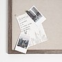 U Brands Fashion Push Pins, Assorted Colors, 100/Pack (2996U06-24)~#|#~22C182EA-E857-42B7-A718F32158450781_sc7