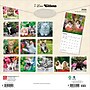 2026 BrownTrout I Love Kittens 12" x 12" Monthly Wall Calendar (9798330704149)~#|#~22DA8D8C-64B4-4965-8EAACC028568E9E6_sc7