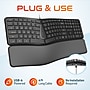 Delton KB250 Ergonomic Keyboard, Black (DKBE250-U)~#|#~22E09C69-4769-4E5B-A243D6771213DF78_sc7