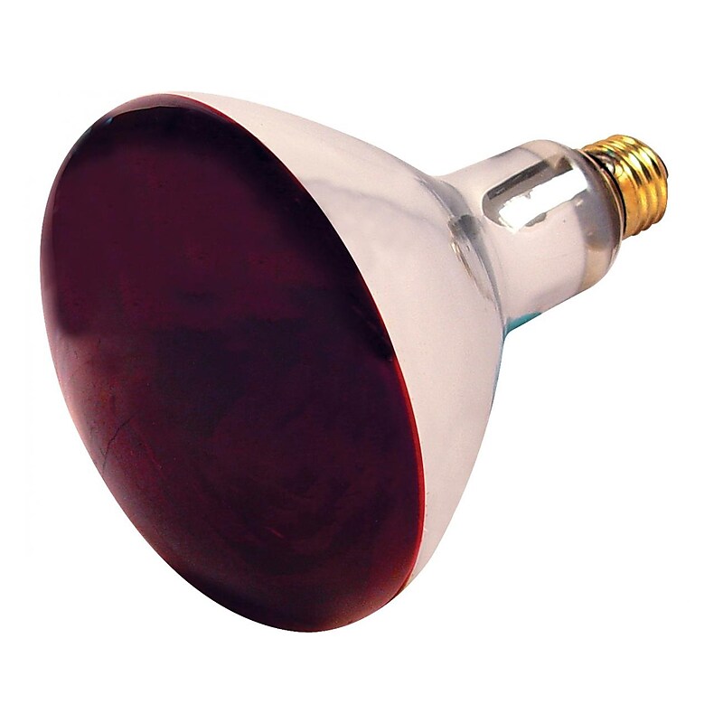 Satco Lighting 250-Watt Red Heat Incandescent Specialty Bulb, Dozen (S4998) image 1