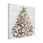 Trademark Fine Art Sasha Seaside Christmas I Canvas Art, 24" x 24" (ALI67654-C2424G)~#|#~23077141-D1A3-4D2C-94C6AE7D69209E7A_sc7