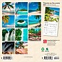 2026 BrownTrout Tropical Islands 7" x 7" Monthly Wall Calendar (9798330705986)~#|#~2314D87D-B907-4384-ACDC1121F6FFD740_sc7