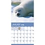 2026 TF Publishing Baby Animals 12" x 12" Monthly Wall Calendar, Multi (26-1000)~#|#~23183F3A-5492-4649-B9BFB58B1B97C0C4_sc7