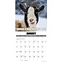 2026 Willow Creek You Goat This 12" x 12" Monthly Wall Calendar (53393)~#|#~2324E4B7-9B01-4E78-BA86D11DAD6CA4DE_sc7