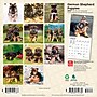 2027 BrownTrout German Shepherd Puppies 7" x 7" Monthly Wall Calendar, Assorted Colors (9798330714780)~#|#~2326B91B-5F5E-42B3-BE929DD47EFF7763_sc7