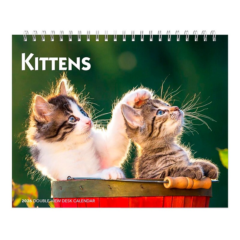 2026 BrownTrout Kittens 7.5" x 6" Monthly Desk Calendar (9798330704118) image 1