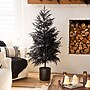 Nearly Natural Artificial Halloween Real Touch Black Norfolk Pine Christmas Tree, 5' (T5243)~#|#~234B253A-45F9-4F11-A7ABB663BF12D23E_sc7