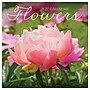 2027 TF Publishing Flowers 10" x 12" Monthly Wall Calendar, Multicolored (27-1034)~#|#~234C2D12-80C0-469C-B886A27076A2B4B7_sc7