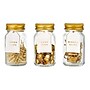 Martha Stewart 352-Piece Push Pin and Clip Set, Gold (MS112L)~#|#~234D3188-6A99-47E8-9400388687F9D670_sc7