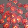 Nearly Natural 2-ft Pre-Lit Artificial Valentine's Day Twig Tree with 24 Rose Shaped LED Lights (T5447)~#|#~236C10DF-5008-4795-961225F9BA99CDF1_sc7