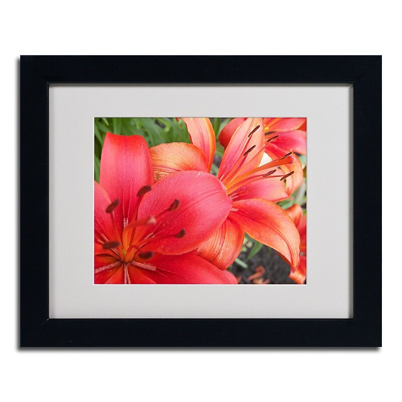 Trademark Monica Fleet "Lehua" Art, White Matte W/Black Frame, 11" x 14" image 1