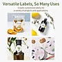 Avery Dissolvable Decorative Edge Multipurpose Labels, 1.5" x 3.5", Off-white, 100/Pack (94122)~#|#~237FA4BD-D64B-4AC5-AA9E29E89D520174_sc7