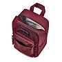 JanSport Big Break Insulated Lunch Bag, 2-Compartment, Cherry Lacquer (JS0A352LA0A)~#|#~238120EB-687A-45A9-B0C46002131D85D8_sc7