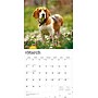 2026 BrownTrout Beagles 12" x 12" Monthly Wall Calendar (9798330702381)~#|#~23959207-14B1-4AA2-BFA136B558702E48_sc7