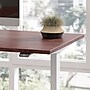 Bush Business Furniture Move 60 Series 48"W Electric Height Adjustable Standing Desk, Hansen Cherry (M6S4824HCSK)~#|#~239DFEB5-17F8-43E5-9B68B7254A25991A_sc7