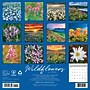 2027 Willow Creek Wildflowers 12" x 12" Monthly Wall Calendar, Assorted Colors (63026)~#|#~239E9CF1-6100-4ED8-AFC8570F27355D29_sc7