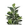 Monarch Specialties Inc. Rubber Tree in Pot (I 9513)~#|#~23A84501-0A30-4D57-B54B31C43D5C11C7_sc7